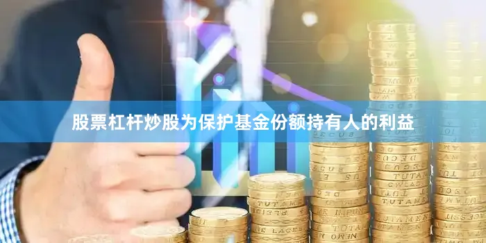 股票杠杆炒股为保护基金份额持有人的利益