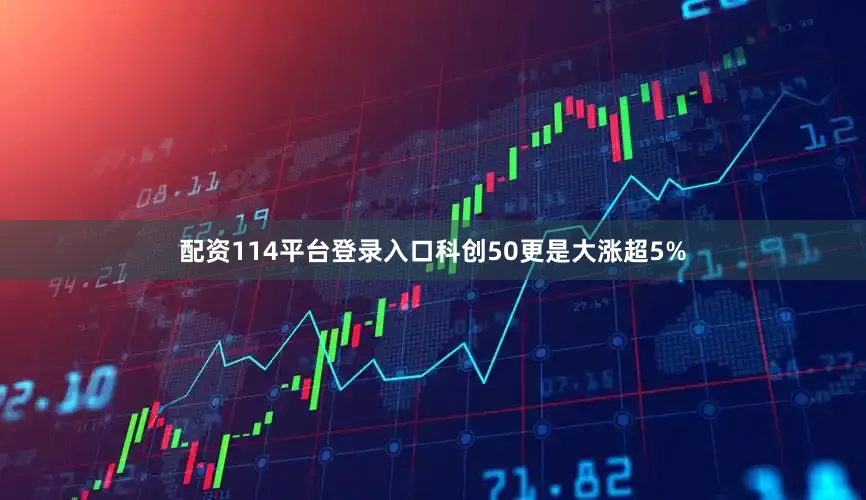 配资114平台登录入口科创50更是大涨超5%