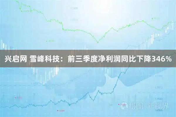 兴启网 雪峰科技：前三季度净利润同比下降346%