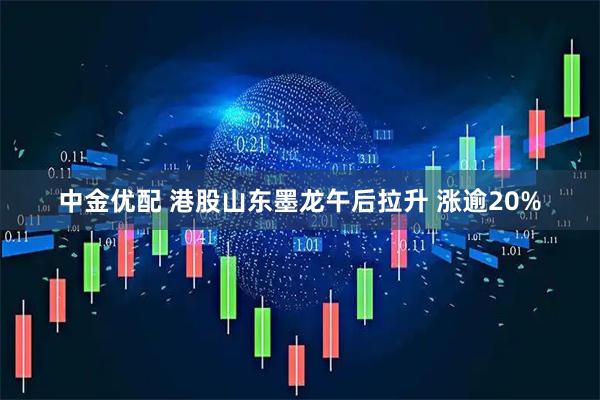 中金优配 港股山东墨龙午后拉升 涨逾20%